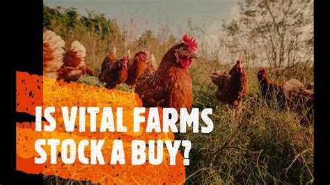 vital farm stock