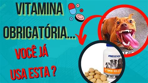 vitaminas para cachorro engordar