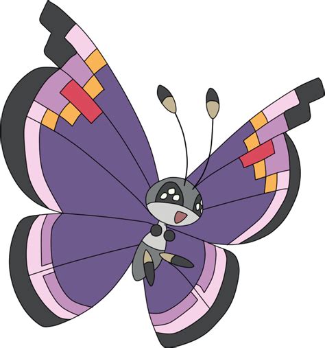 vivillon elegant