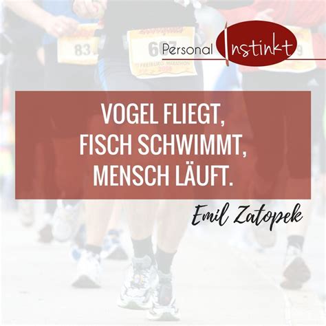 vogel fliegt schwimmt mensch textabrei kalender Kindle Editon