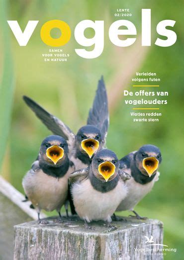 vogels tijdschrift over vogels en vogelbescherming Doc