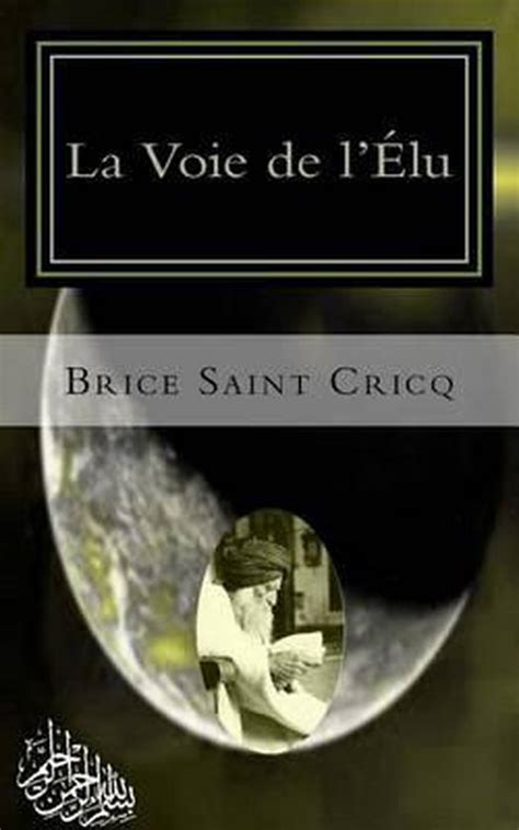 voie l lu brice saint cricq Reader