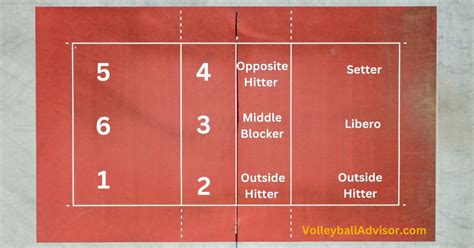 volleyball court positioning