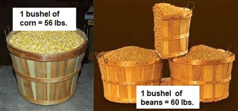 volume bushel