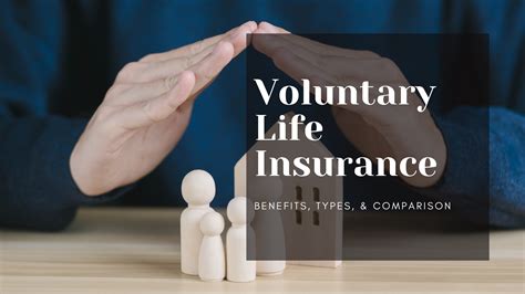 voluntary life insurance