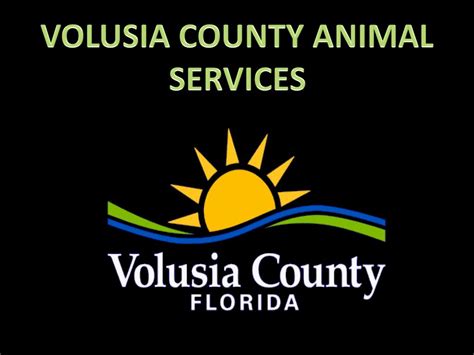 volusia county animal services