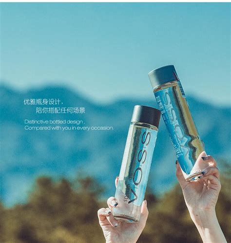 voss 挪威