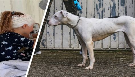 vrouw bijt hond het grote geknipt voor u album Doc