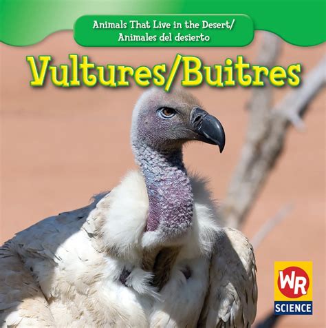 vultures or buitres animals that live in the desert or animales del desierto Doc