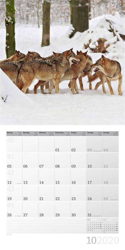 w lfe 2016 brosch renkalender tierkalender wandplaner Reader