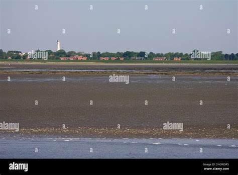 waddenzee festival schiermonnikoog 28 tot 31 oktober Kindle Editon