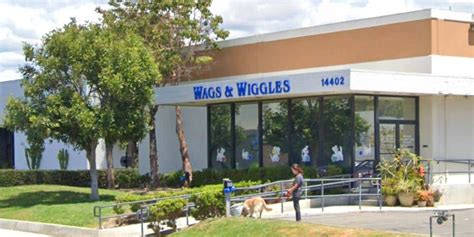 wags and wiggles tustin