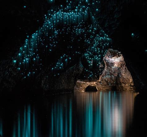 waitomo glow worm caves new zealand