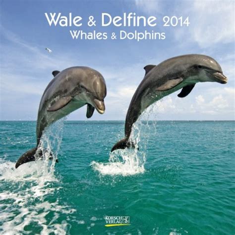 wale and delfine 2014 whales and dolphins broschürenkalender Kindle Editon
