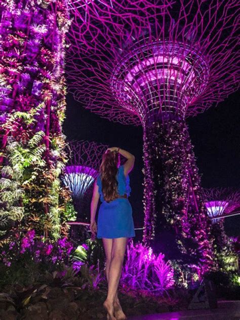 walk of light garden by the bay