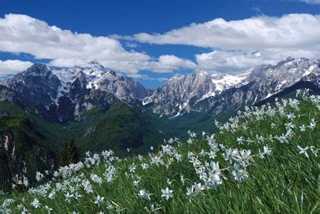 walking in slovenia the karavanke cicerone guides Doc