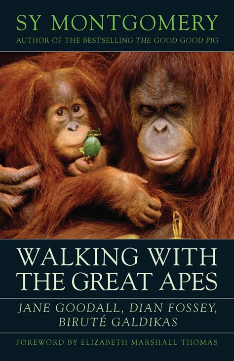 walking with the great apes Kindle Editon