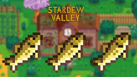 walleye in stardew valley