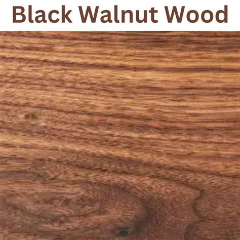 walnut black charas characteristics