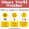 walt disney world weather in november