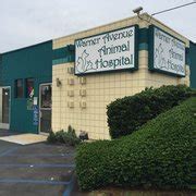 warner avenue animal hospital