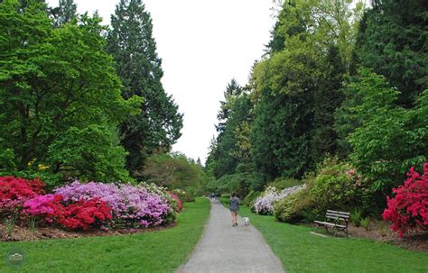 washington park arboretum seattle