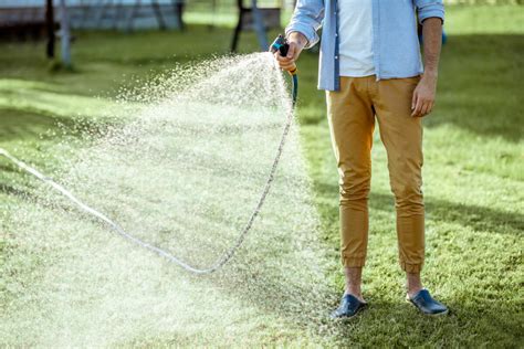 water after fertilizing