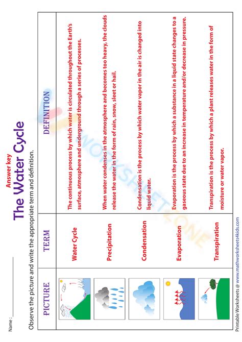 water table diagram worksheet Kindle Editon