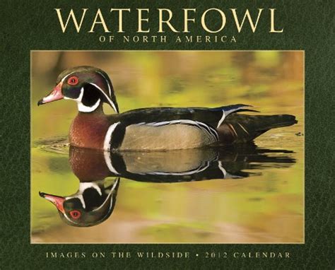 waterfowl of north america 2012 calendar Epub