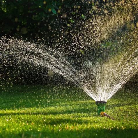 watering after fertilizing