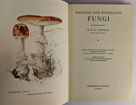 wayside and woodland fungi wayside and woodland Doc