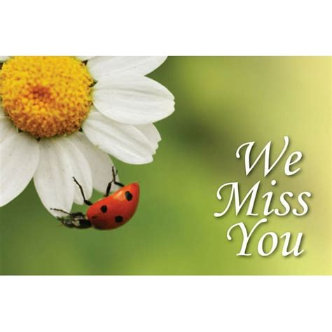 we miss you ladybug postcard pkg of 25 Kindle Editon