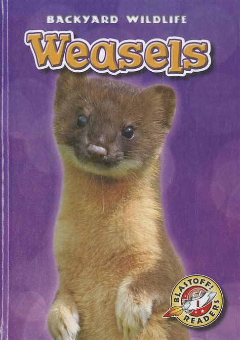 weasels blastoff readers backyard wildlife blastoff readers level 1 Reader