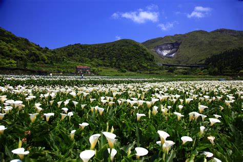 weather in yangmingshan