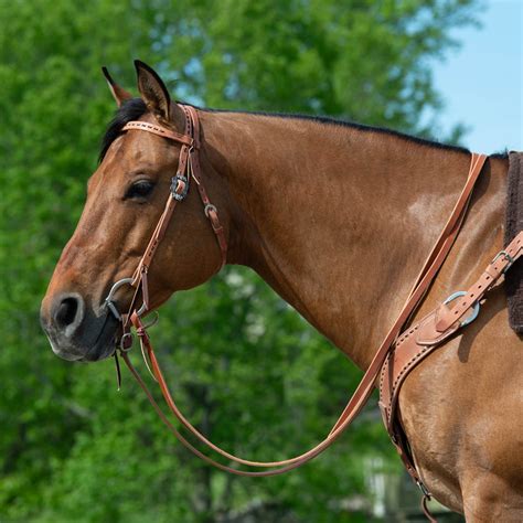 Weaver Leather Tack Catalog