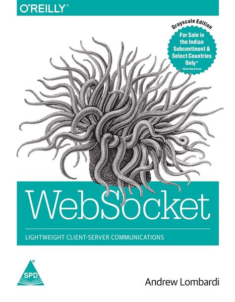 websocket lightweight client server communications Reader