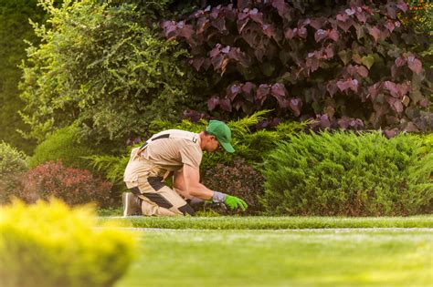 weeding service