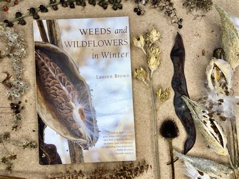 weeds and wildflowers in winter Epub