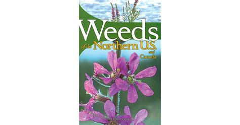 weeds of the northern u s and canada a guide for identification Kindle Editon
