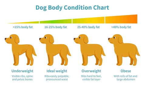 weight loss in puppies