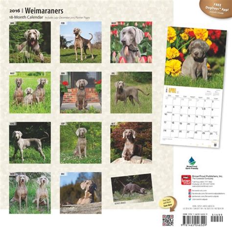 weimaraners intl 2016 square 12x12 Reader