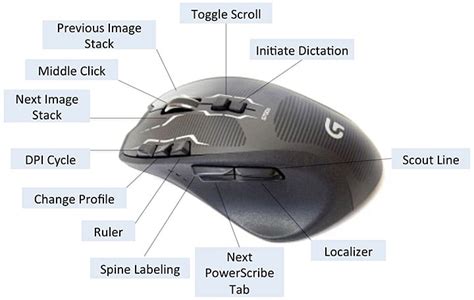 well labelled computer mouse diagram Kindle Editon