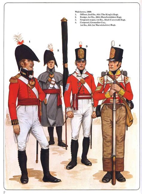 wellingtons army uniforms of the british soldier 1812 1815 Doc