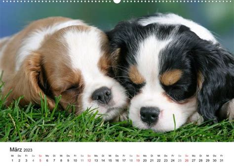 welpentr ume niedlichen hundewelpen wandkalender monatskalender PDF