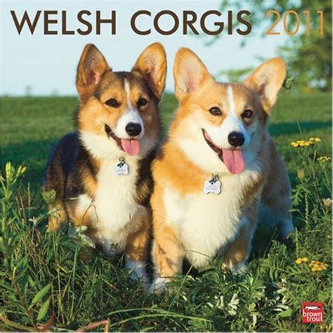 welsh corgis 2015 square 12x12 multilingual edition PDF