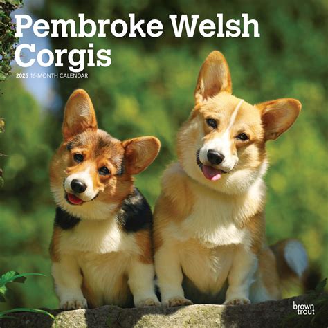 welsh corgis pembroke 2015 square 12x12 multilingual edition PDF