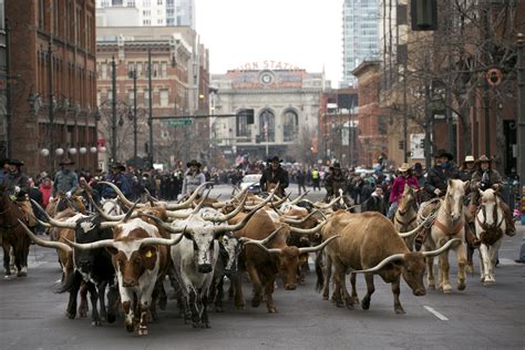 western stock show denver co