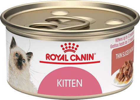 wet food for kittens