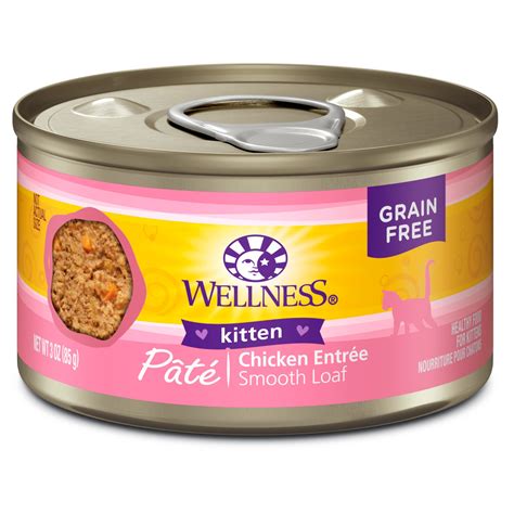 wet healthy cat food