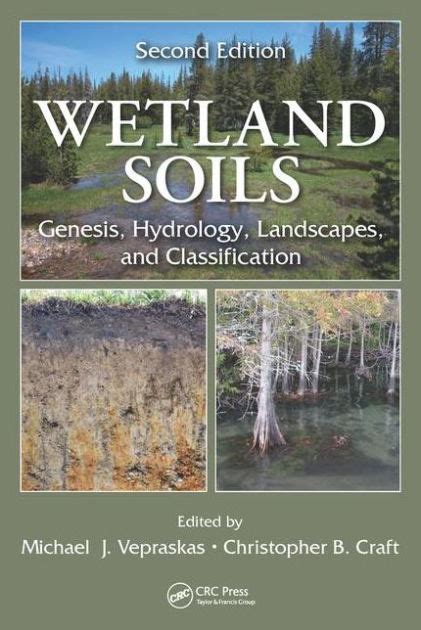 wetland soils hydrology landscapes classification Reader